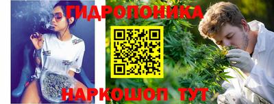 индика Малоярославец